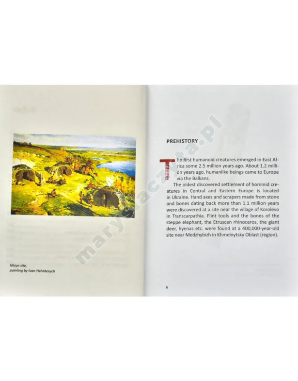 A history of Ukraine. A short course