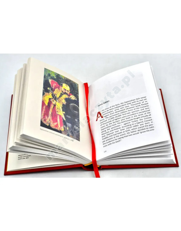 A history of Ukraine. A short course