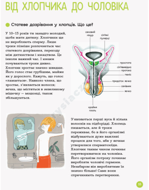 Енциклопедія статевого життя. 10-13 років Енциклопедія статевого життя. 10-13 років