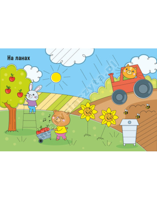 Малюємо лінії і фігури. Напиши, зітри, повтори!