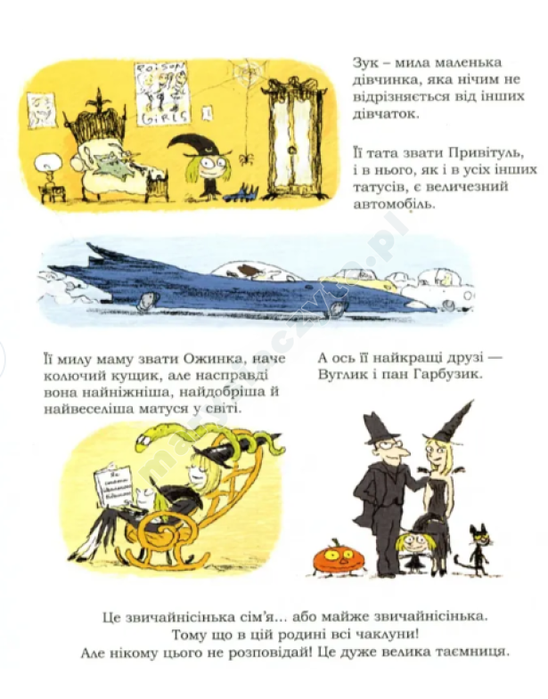 Зук. Відьмочка, яка мріє бути принцесою. Книга 5 Зук. Відьмочка, яка мріє бути принцесою. Книга 5