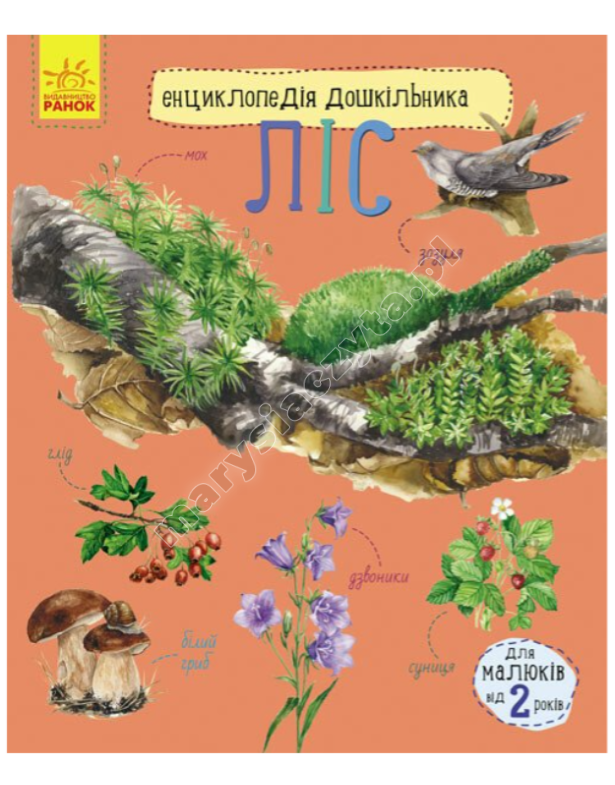 Ліс. Енциклопедія дошкільника Ліс. Енциклопедія дошкільника