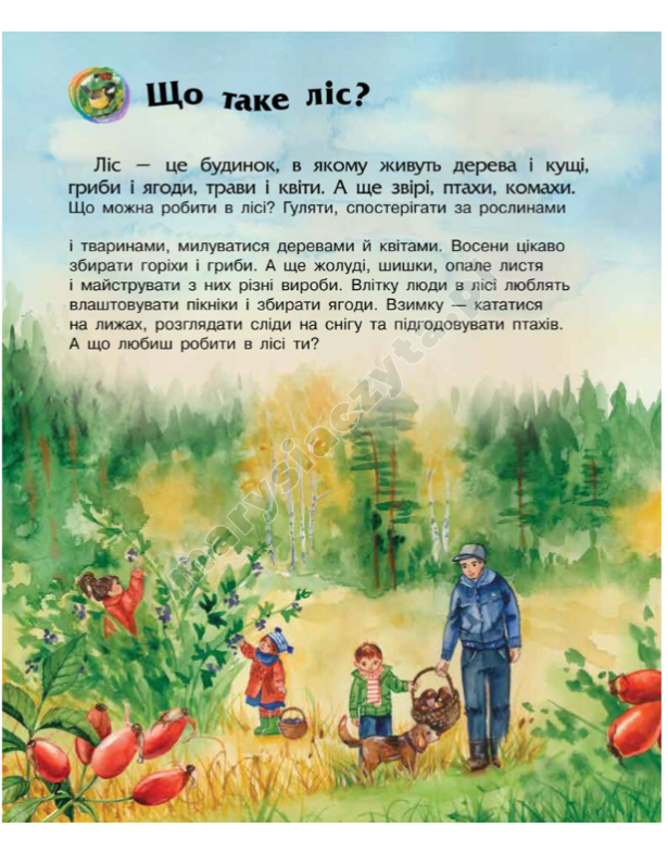 Ліс. Енциклопедія дошкільника Ліс. Енциклопедія дошкільника