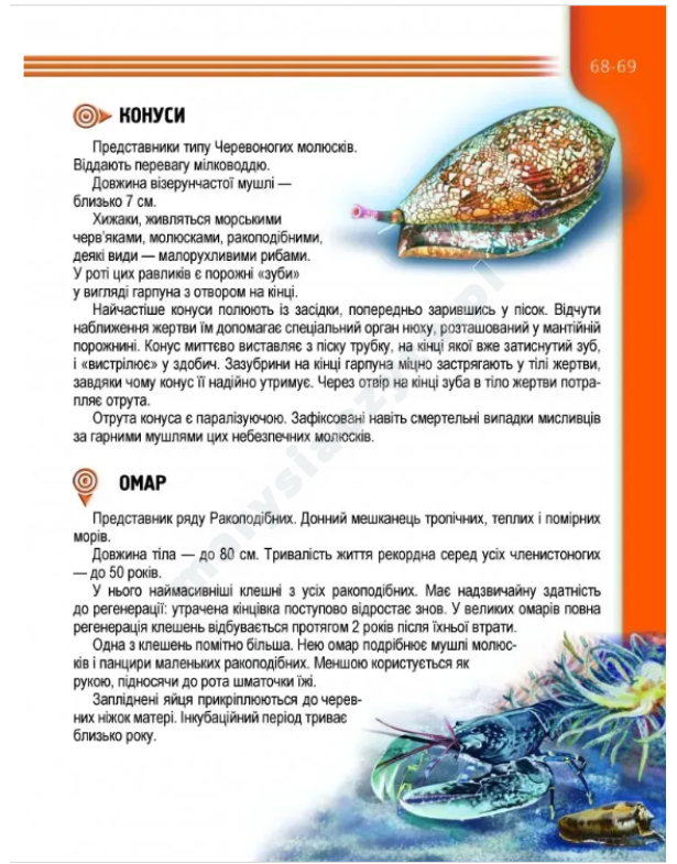 Мешканці морів та океанів