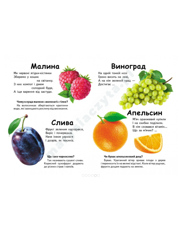 Що це? Овочі, фрукти та ягоди. Запитання та відповіді Що це? Овочі, фрукти та ягоди. Запитання та відповіді