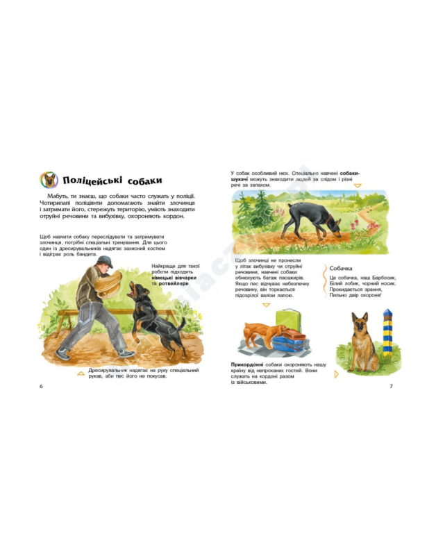 Собаки. Енциклопедія дошкільника