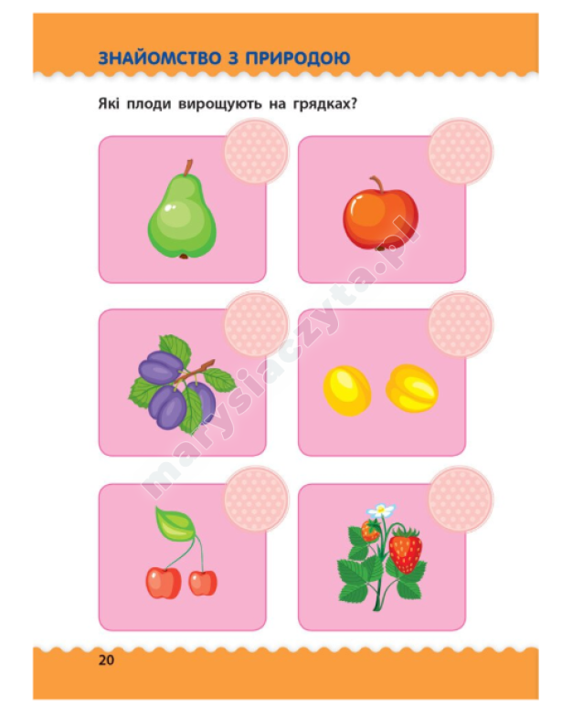 Навчалочка. Тести з наліпками. 5-6 років