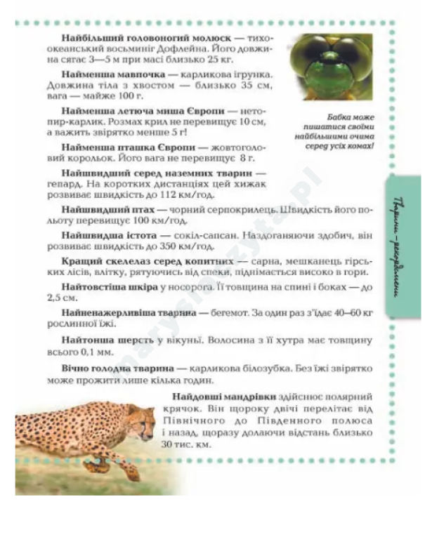 Тварини Тварини