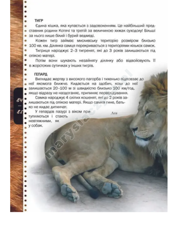 Тварини Тварини