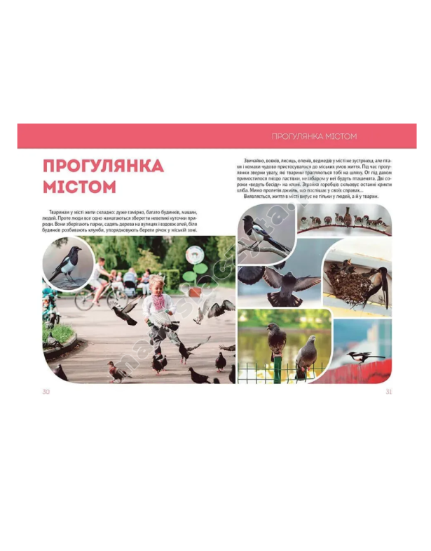 Велика книга про тварин Велика книга про тварин