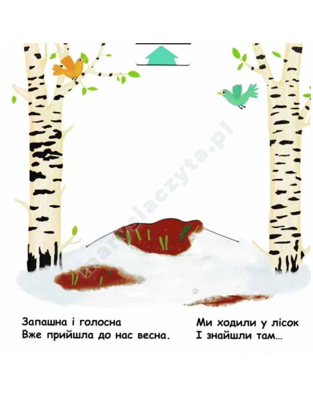 Пори року