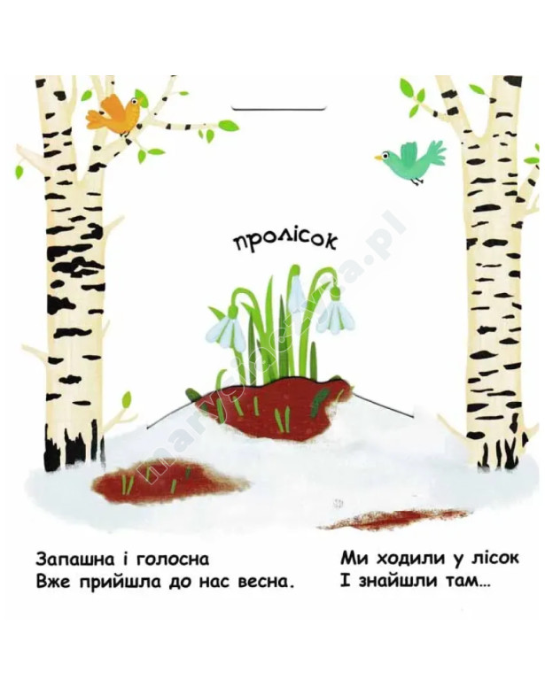 Пори року