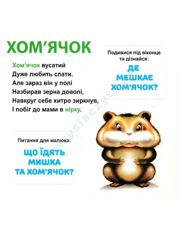 Хто де живе? 33 Віконця