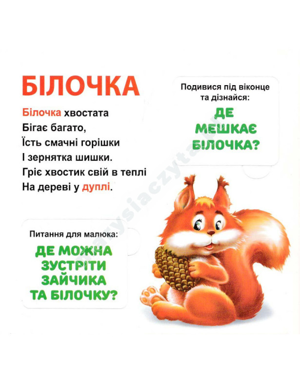 Хто де живе? 33 Віконця